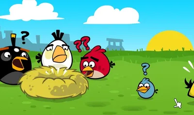 Обои на рабочий стол: Злые Птицы (Angry Birds), Фон, Игры - скачать  картинку на ПК бесплатно № 17552