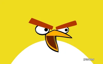 Обои на рабочий стол Желтая птица из игры Angry Birds / Злые птицы, обои  для рабочего стола, скачать обои, обои бесплатно