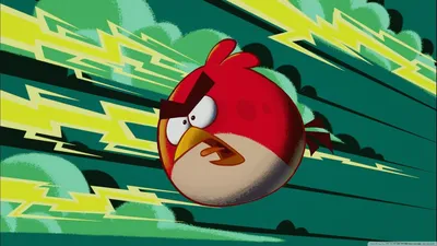 Картинка Angry Birds Seasons Halloween для телефона и на рабочий стол  1170x2532