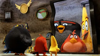 Птица Angry Birds, черный фон - обои для рабочего стола, картинки, фото