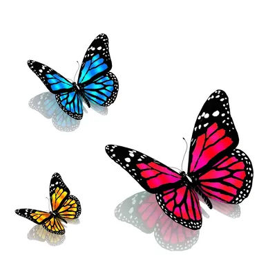 Flower Powerflower Frameclip - Анимационные Цветы На Прозрачном Фоне - Free  Transparent PNG Clipart Images Download