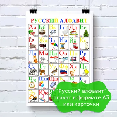 Английский алфавит в картинках \"Alphabet\" (+склады) купить в Киеве, цена в  Украине ❘ Dytsvit