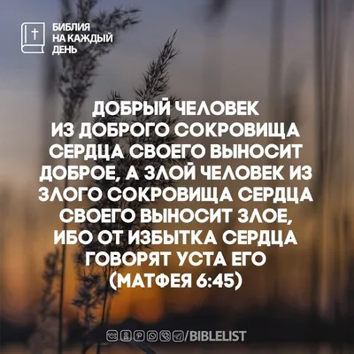 День 139 - Иисус посылает семьдесят учеников Библия на каждый день |  bibletoday.ru