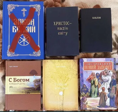 Библия на каждый день для самых маленьких. Вера Шевченко (ID#1636485605),  цена: 350 ₴, купить на Prom.ua