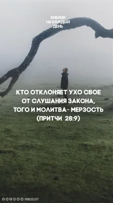 День 224 - Отречение Петра Библия на каждый день | bibletoday.ru