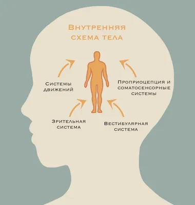 Самоучитель Су-джок. Целительные точки для поддержания здоровья. Большой  атлас, Дмитрий Коваль – скачать книгу fb2, epub, pdf на ЛитРес