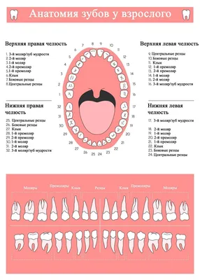 Тесты на болезнь Альцгеймера, которые помогают выявить начало заболевания!  | Пансионат для пожилых | Дзен