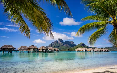 Desktop Wallpapers Bora Bora French Polynesia Bungalow Sea 3840x2400