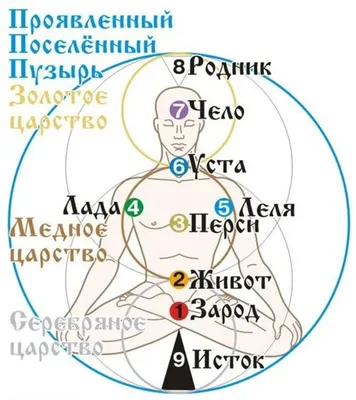 Чакры | Психолог Татьяна Кудеярова | Дзен