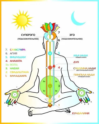 человек с многоцветными лежащими чакрами, картина чакры фон картинки и Фото  для бесплатной загрузки