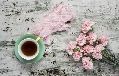 Обои цветы, розовые, wood, pink, гвоздика, flowers, cup, coffee, чашка кофе  картинки на рабочий стол, раздел цветы - скачат… | Цветочный фон, Цветы,  Доставка цветов