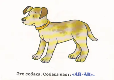 Обучение детей безопасности: делают ли это в садах и школах, почему нужно  пройти тренинг безопасности для детей и сколько это стоит