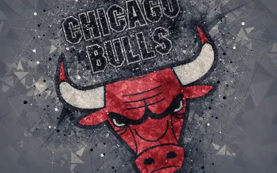 Download wallpaper logo, new, chicago bulls, section sports in resolution  1400x1050