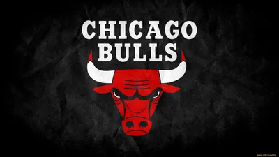 Скачать обои Chicago Bulls Logo, Chicago, Bulls, Логотип в разрешении  1280x960 на рабочий стол