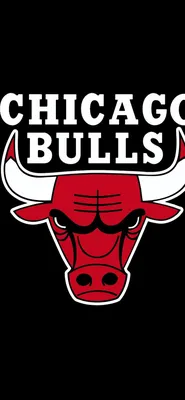 Скачать обои The Chicago Bulls, Chicago, Bulls в разрешении 2560x1600 на рабочий  стол