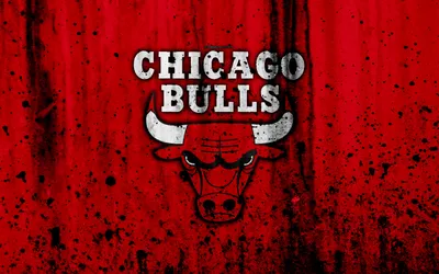 Chicago Bulls New Tabs HD Sports Themes для Google Chrome - Расширение  Скачать