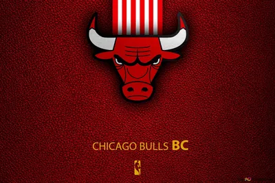 Картинка Chicago Bulls для телефона и на рабочий стол 1080x1920