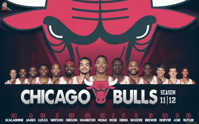 Обои chicago bulls, чикаго буллз, nba, баскетбол картинки на рабочий стол,  фото скачать бесплатно