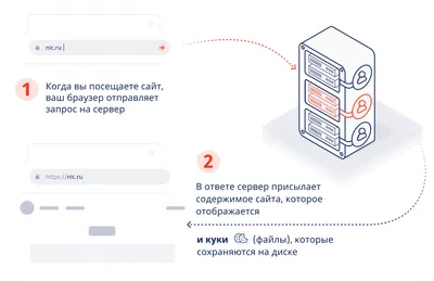 Почему страховые отказывают в ОСАГО: что делать, если отказали в страховке  автомобиля | Банки.ру