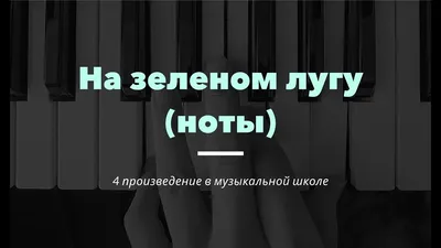 Всем выйти из раковины! Как организовать улиточную ферму на участке