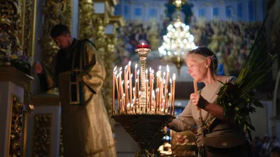 НЕСУЩЕСТВУЮЩИЕ ЛЕСА. В поисках деревьев, которые так и НЕ выросли | Ziarul  de Gardă RUS