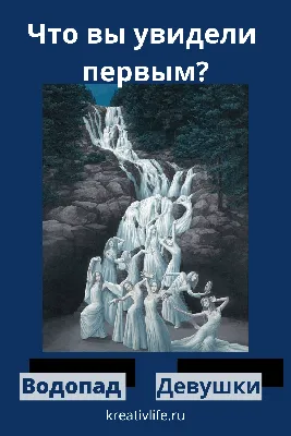 10 психологических тестов по картинкам.:\"Что вы увидели первым?\" — Рояль в  кустах (Mи Lа) — NewsLand