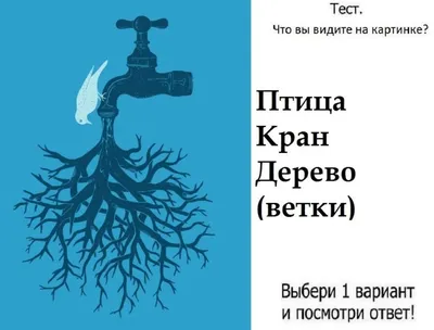 Ответь, что ты видишь на картинке, и мы расскажем, насколько ты уверена в  себе!