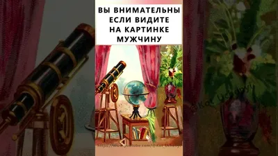 Мужчины и женщины видят разное на этой картинке. А что видите вы? |  Удивительный зимородок | Дзен