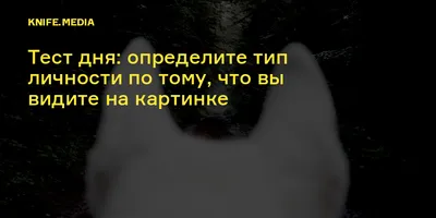 Что вы видите первым на картинке? Узнайте, упрямый вы, независимый или  уверенный в себе человек | Mixnews