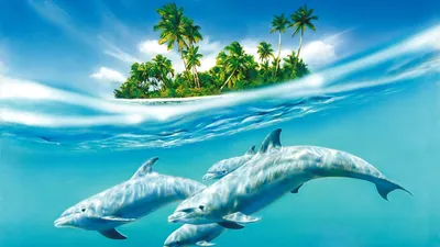 Обои дельфин, океан, вода, брызги, закат, прыжок на рабочий стол