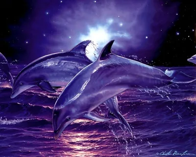 Скачать обои Подводный мир Robert Wyland, дельфины, путешественники океана  на рабочий стол 1600x1200