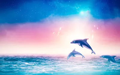 Закат с дельфинами скачать фото обои для рабочего стола