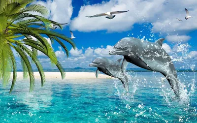 Обои дельфин, улыбка, вода, бассейн картинки на рабочий стол, фото скачать  бесплатно