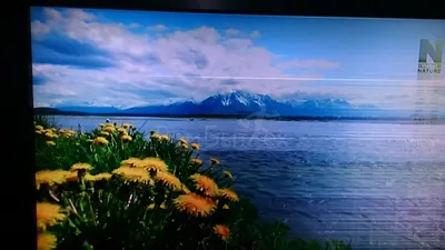 Телевизор Sony KDL-46X3500, дергается экран. В чем может быть  неисправность? | РемБытТех