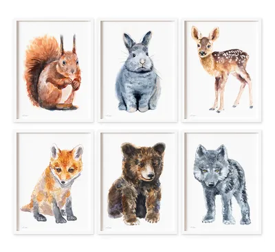 Картини за детска стая cъс горски животни