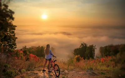 Раскраска девушка катается. Девушка катается на велосипеде в лесу.  Раскраска без регистарции.