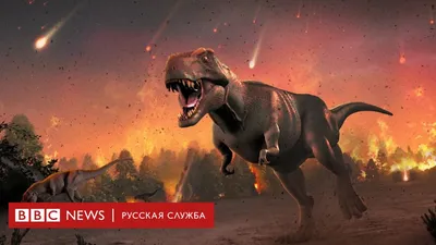 3D СЕКРЕТЫ ДИНОЗАВРОВ. Энциклопедия для детей. Юлия Школьник - купить с  доставкой по всему миру в интернет-магазине Scriptura.ru