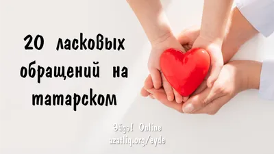 с добрым утром красивое поздравление на казахском языке｜TikTok Search