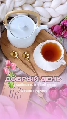 📚Учим новые слова📚 ПОЛЬСКИЙ от... - My House Language School | Facebook