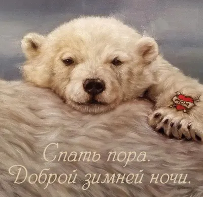 Необычные картинки \"Спокойной ночи!\" (190 шт.)