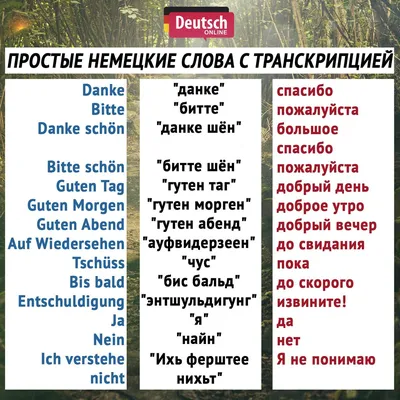 Как приветствовать, благодарить и прощаться на немецком языке? Строим ... |  TikTok