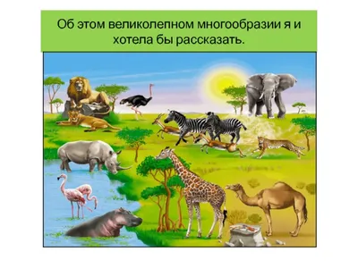 Природные зоны Африки — карта, названия, географическая характеристика и  таблица — Природа Мира