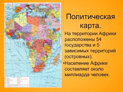 Эволюционная баллистика мамонтов: от хоботных до загадки голоценового финала