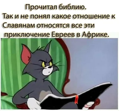 Окапи — Википедия