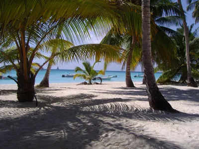 Картинка пляж в доминиканской республике летний рай обои на рабочий стол