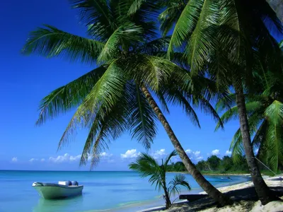Стоимость путевки в Доминикану из Москы | Туристическая фирма ЖАРА