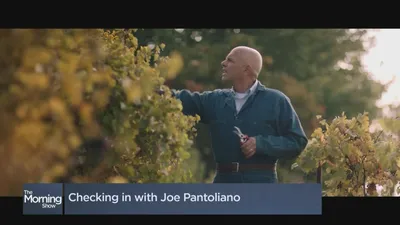 Фотк Джо Пантольяно: особенности его стиля