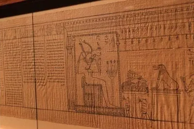 Постер Египетский папирус (Egyptian papyrus) на стену купить от 290 рублей  в арт-галерее DasArt