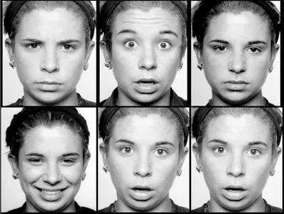 Учёные подсчитали, сколько эмоций может выражать человеческое лицо -  The-Challenger.ru