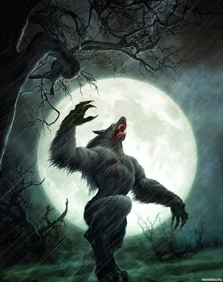 Фантастика, #Оборотни, #аватары, #картинки, #авы,  https://avatarko.ru/kartinka/12370 | Werewolf, Vampires and werewolves,  Werewolf art